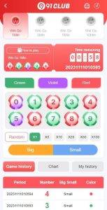 91 Lottery Game screenshot 3