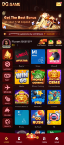DG Game screenshot 1