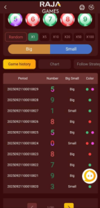 Raja Wala Game screenshot 3